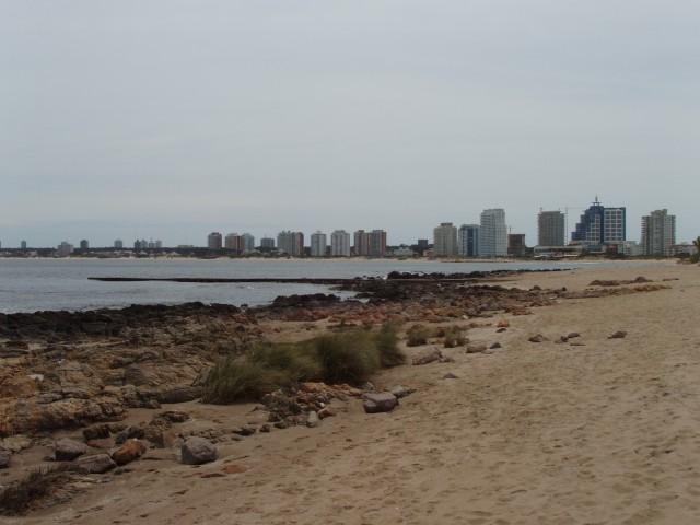 P1010281.JPG