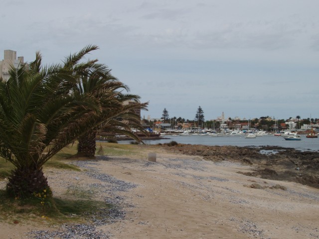 P1010283.JPG