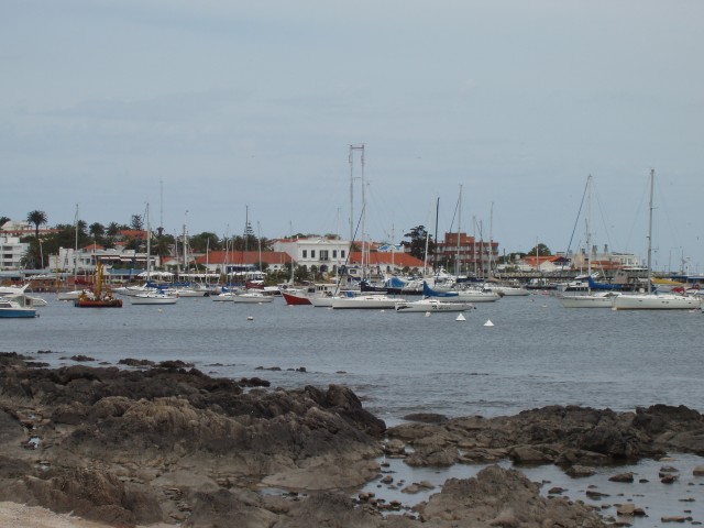 P1010284.JPG