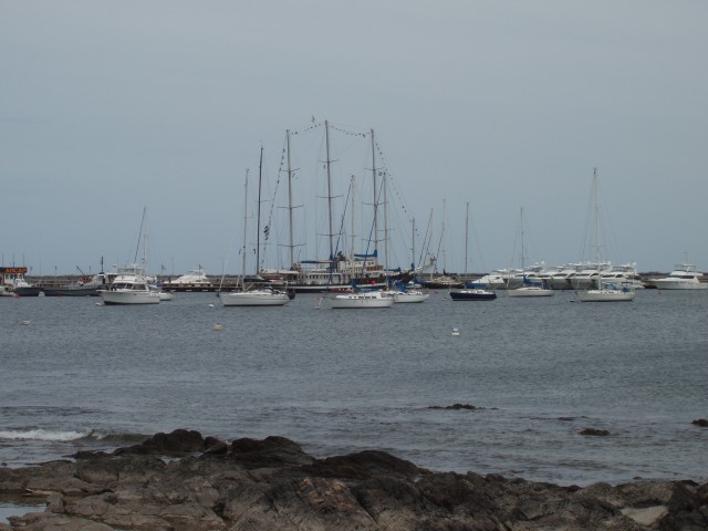 P1010285.JPG