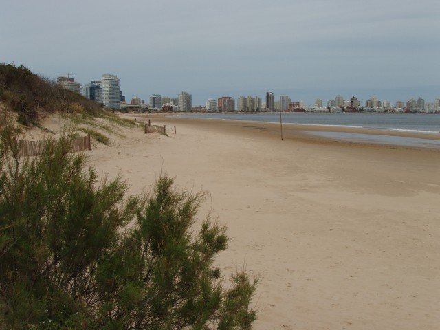 P1010294.JPG