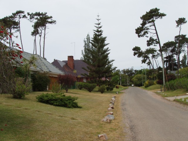 P1010296.JPG