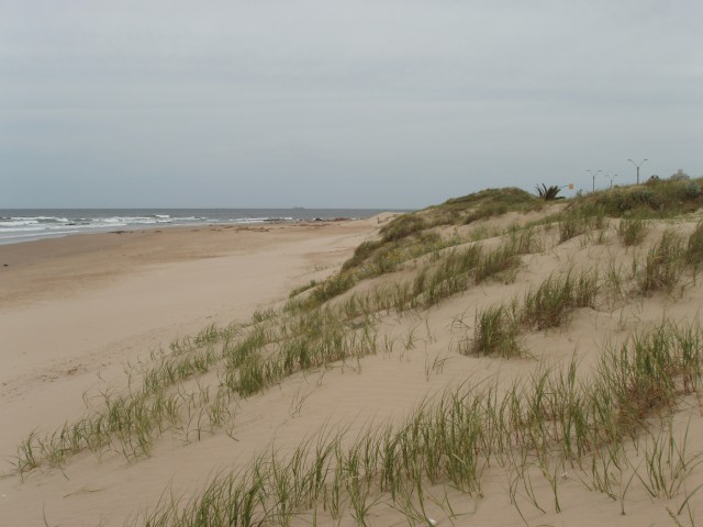 P1010305.JPG