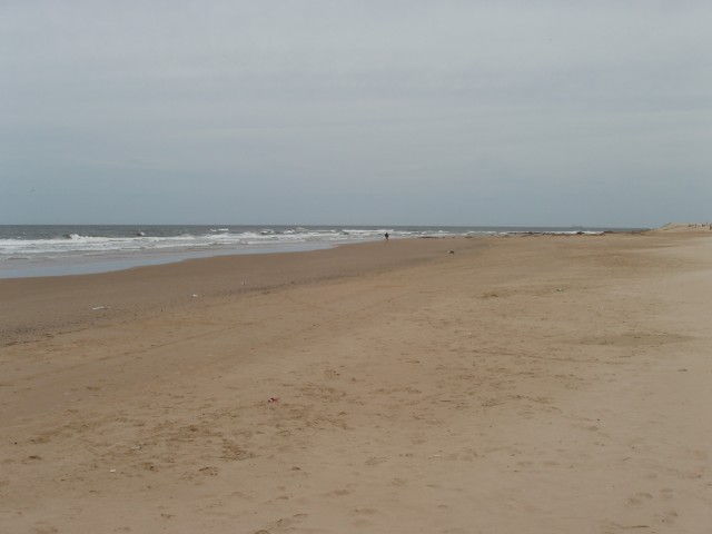 P1010307.JPG