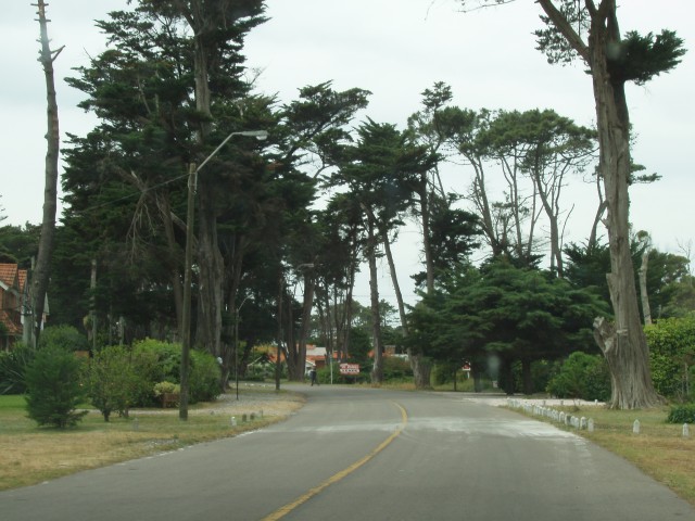 P1010311.JPG