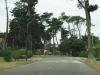 P1010311_thumb.JPG