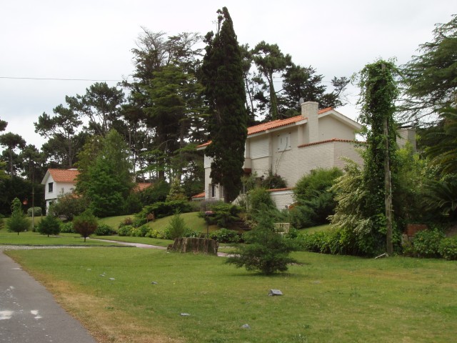 P1010313.JPG
