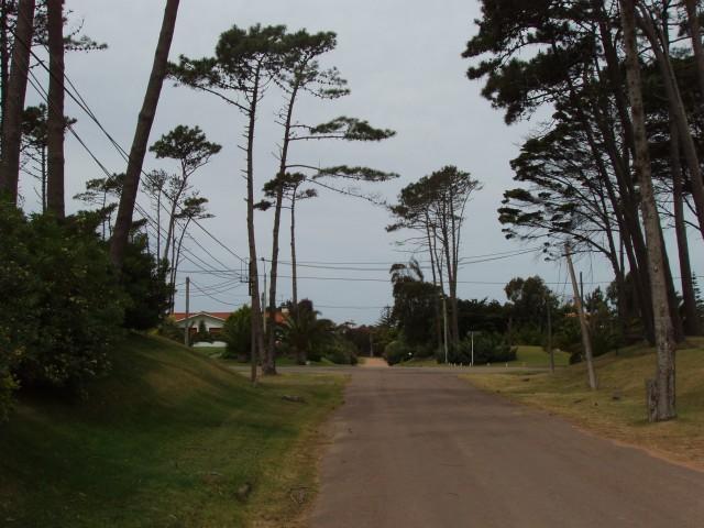 P1010321.JPG