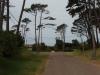 P1010321_thumb.JPG