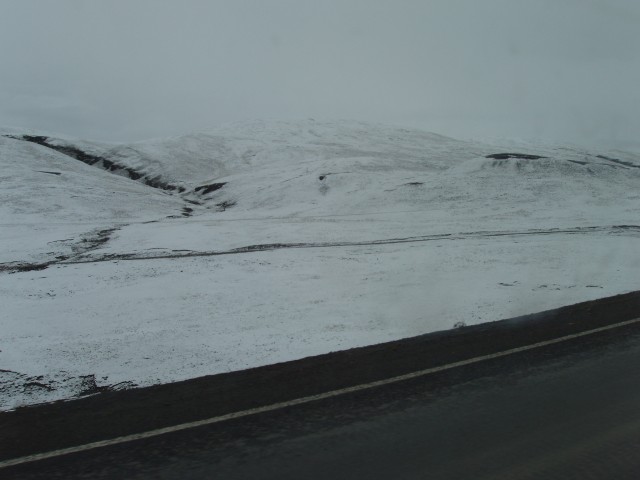 P1010087.JPG