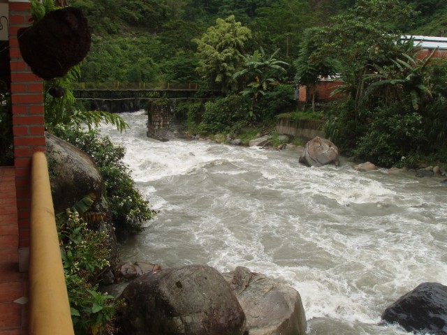 P1010096.JPG