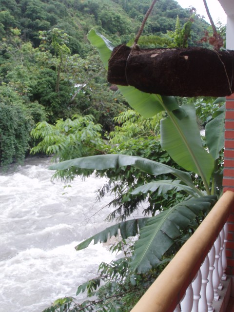 P1010097.JPG