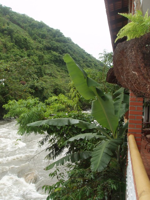P1010098.JPG