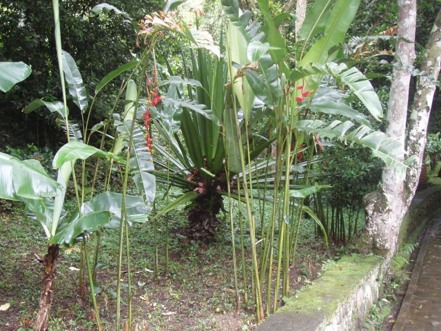 P1010099.JPG