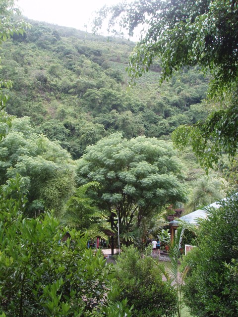 P1010101.JPG