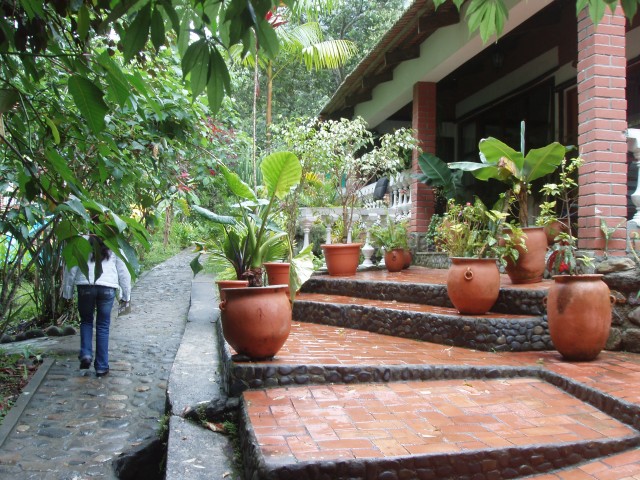 P1010102.JPG
