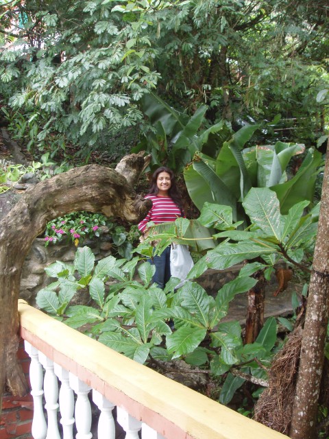 P1010111.JPG