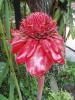 P1010113_thumb.JPG