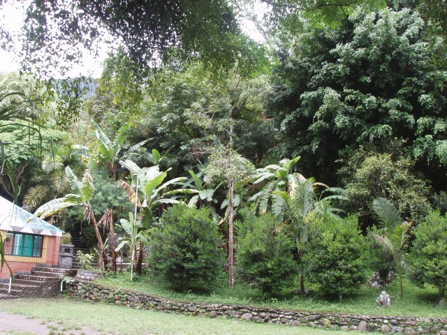P1010116.JPG