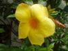 P1010118_thumb.JPG