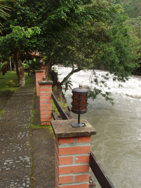 P1010126.JPG
