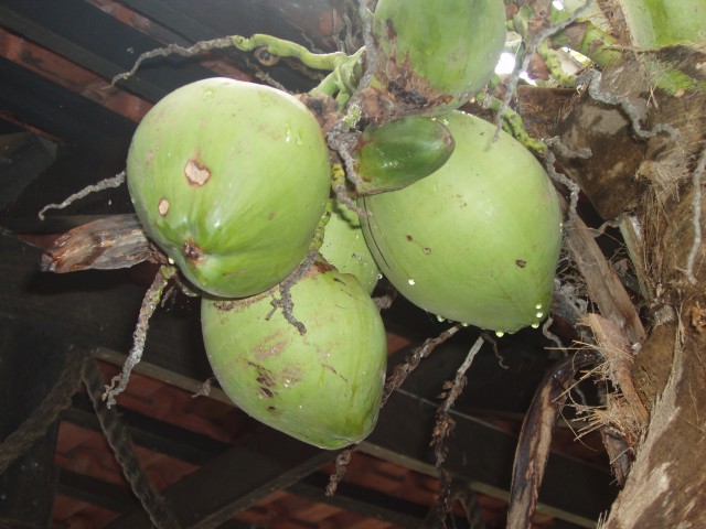 P1010128.JPG