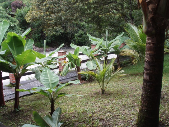 P1010129.JPG