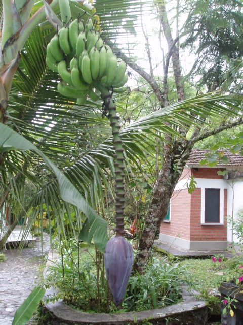 P1010136.JPG