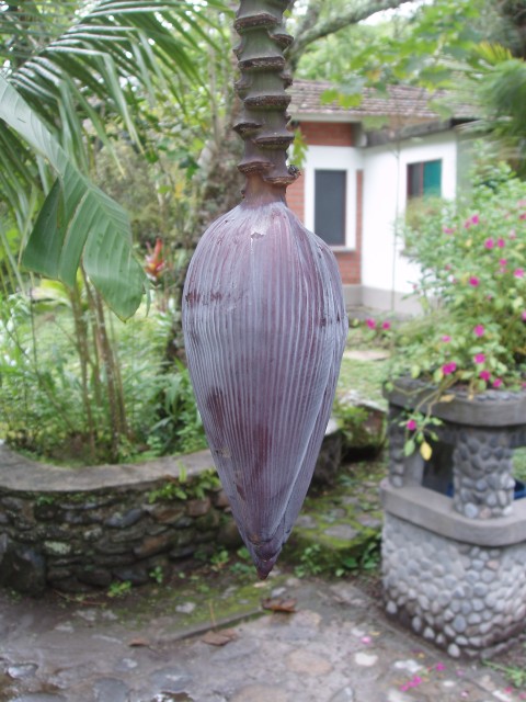 P1010137.JPG