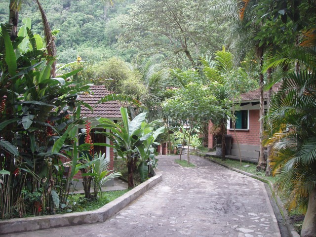 P1010182.JPG