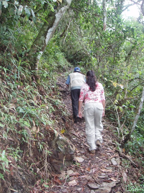 P1010185.JPG