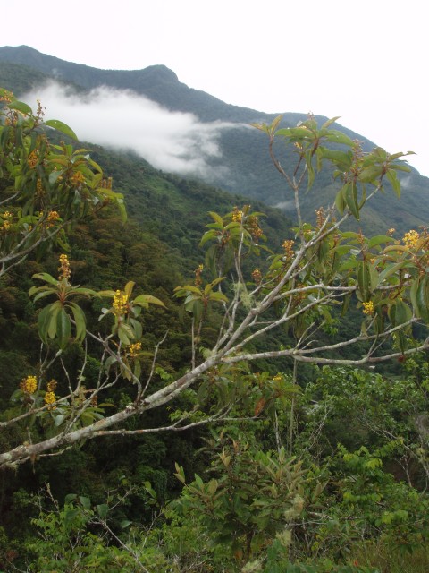 P1010187.JPG