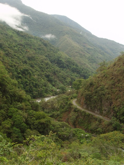 P1010189.JPG