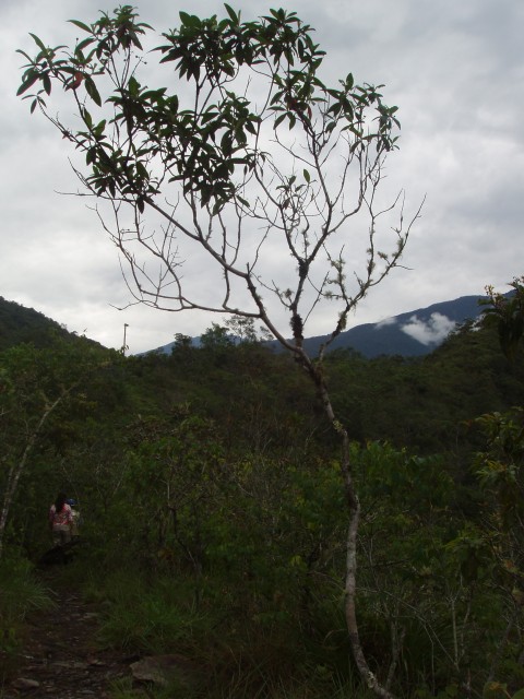 P1010191.JPG