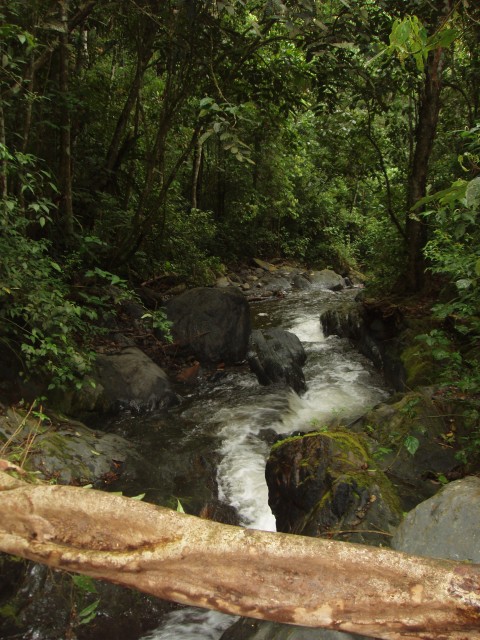 P1010200.JPG