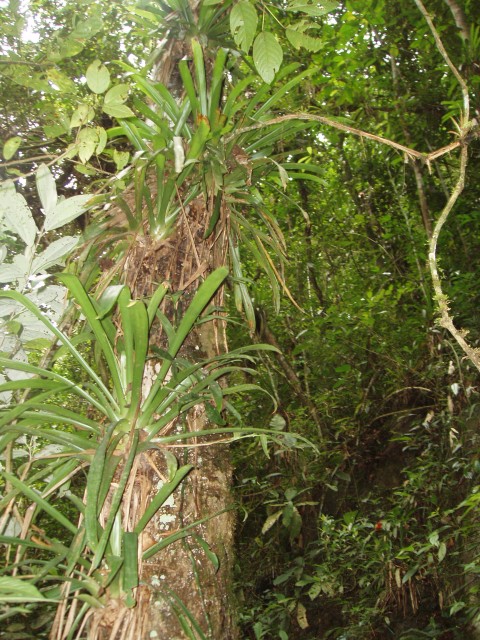 P1010204.JPG