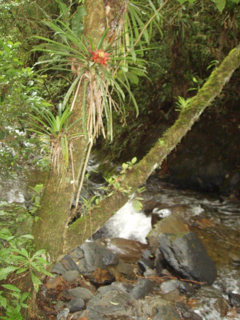 P1010207.JPG