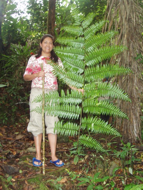 P1010212.JPG