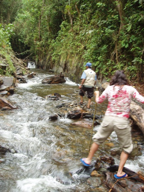 P1010218.JPG