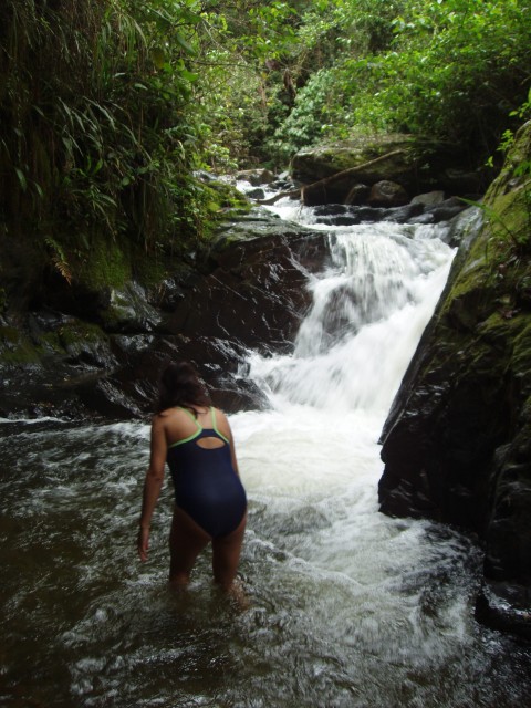 P1010219.JPG