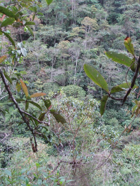 P1010230.JPG