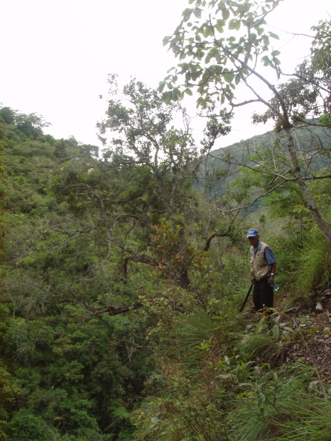 P1010234.JPG