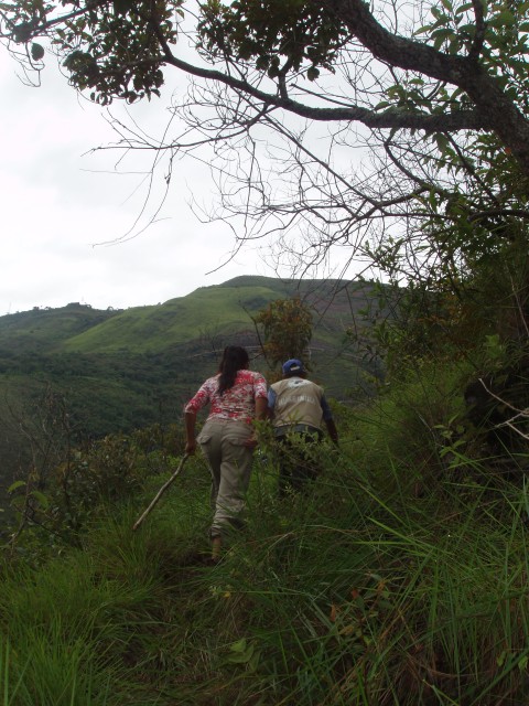 P1010235.JPG