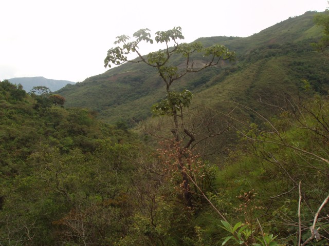 P1010238.JPG