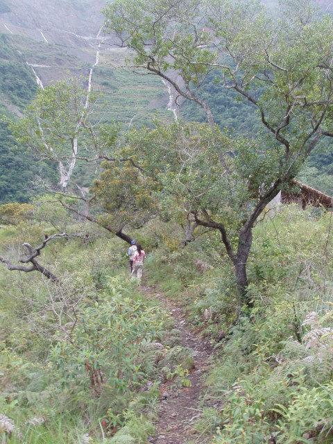 P1010239.JPG