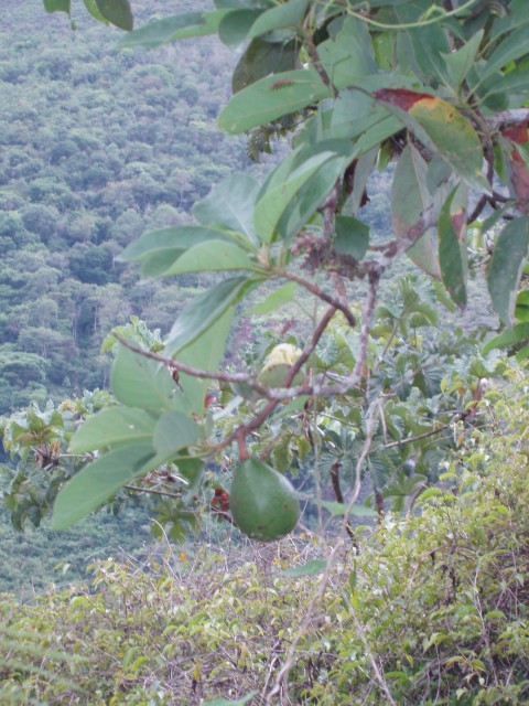 P1010252.JPG