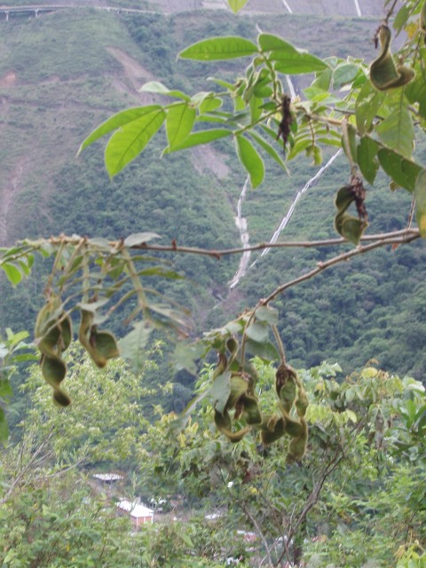 P1010253.JPG