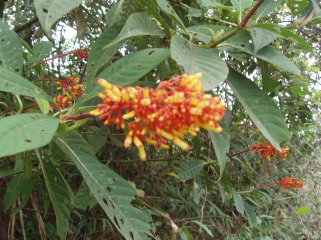 P1010256.JPG