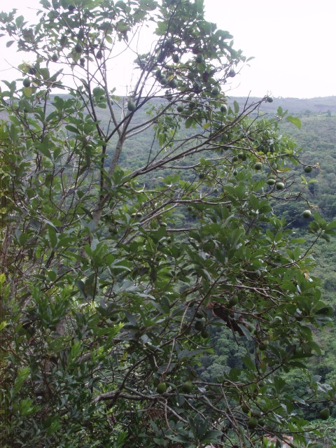 P1010258.JPG