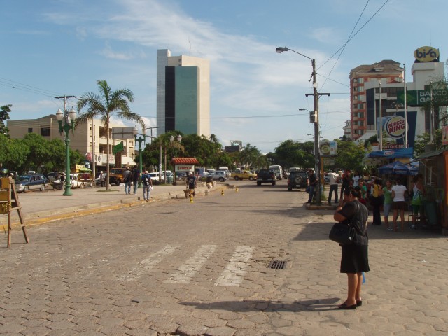 P1010058.JPG